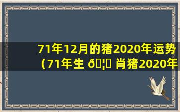 71年12月的猪2020年运势（71年生 🦟 肖猪2020年12月 ☘ 份运势）